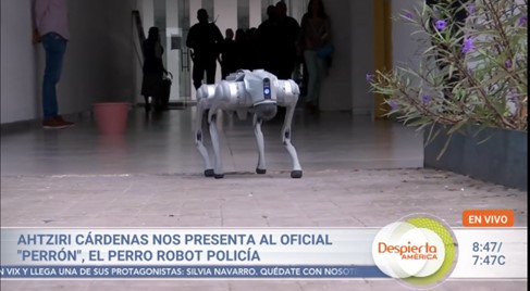 El oficial perrón de la policía de Zapopan, Jalisco, México por Ahtziri Cárdenas Camarena