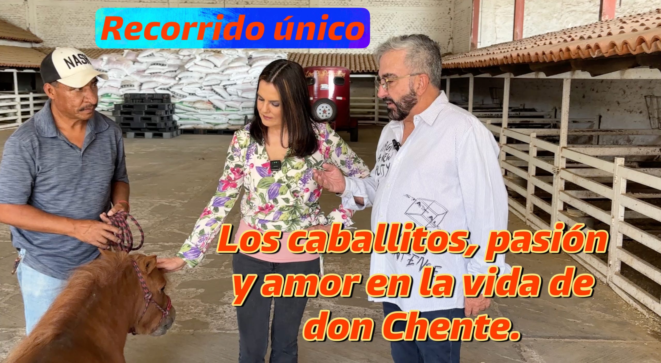 PARTE 3: He aquí los mundialmente famosos “caballitos” de la raza Vicente Fernández. 🐴 ¡Únicos!